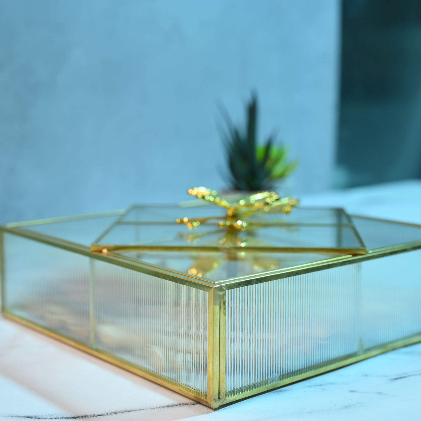 Multi-Purpose Glass Storage Box with Lid